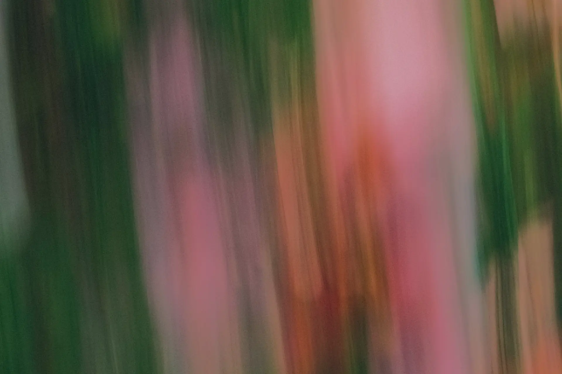 In Transit cover