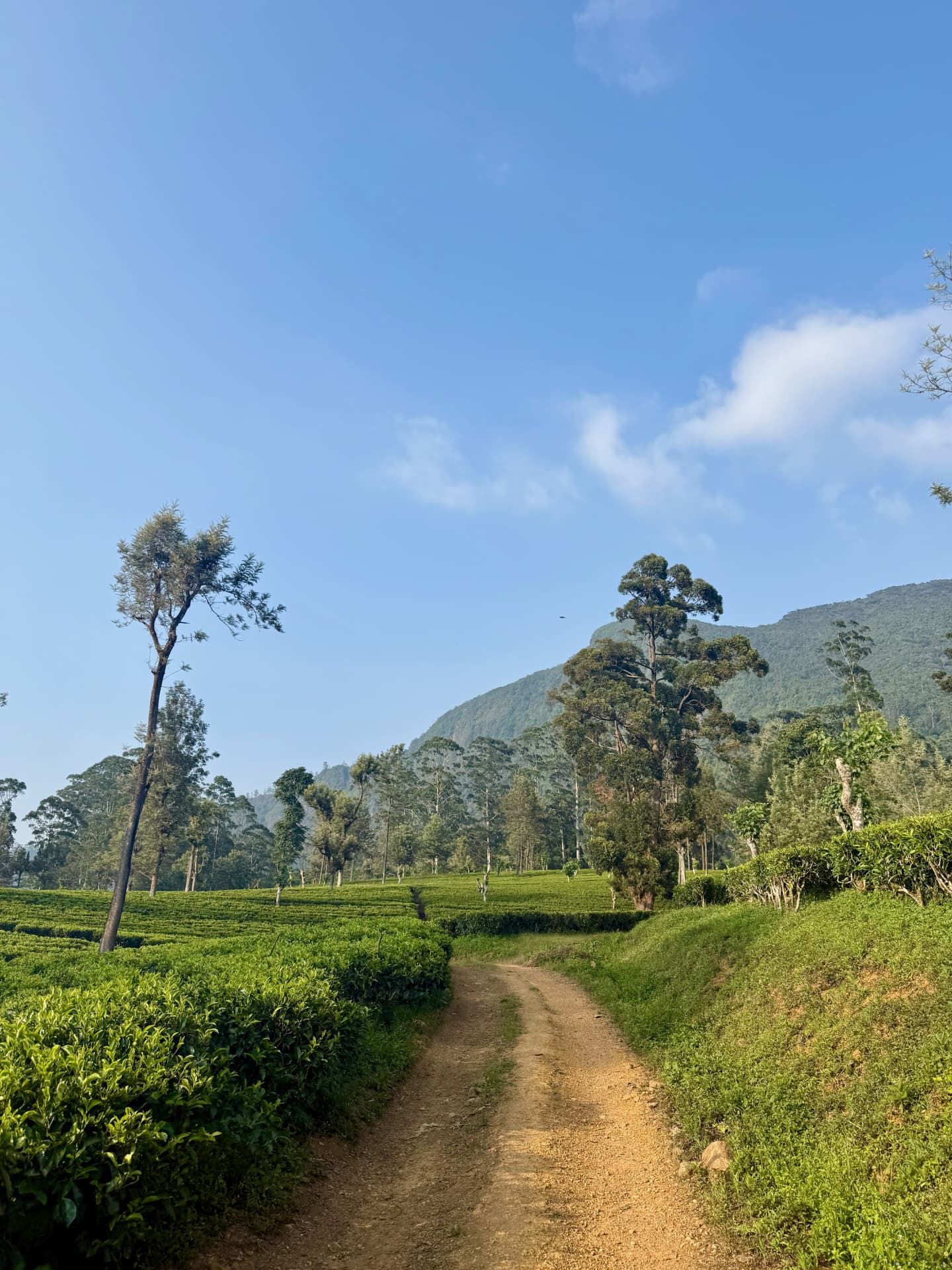 Sri Lanka: The Places in Between cover
