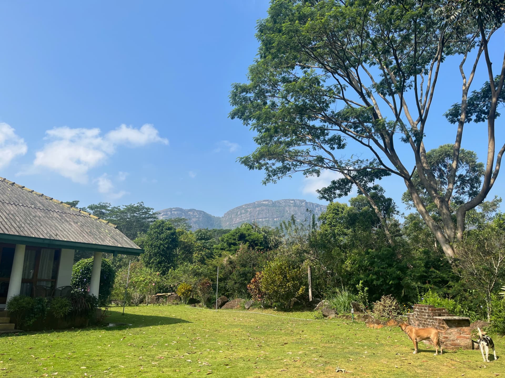 The lawn at Jungle Tide with the Hanthana Mountain Range in the distance